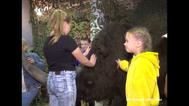 Вымершие звери ледникового периода.  Реклама выставки