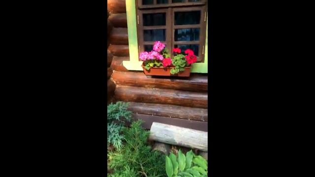 Summer In Dacha. лето на даче (24 July 2022)