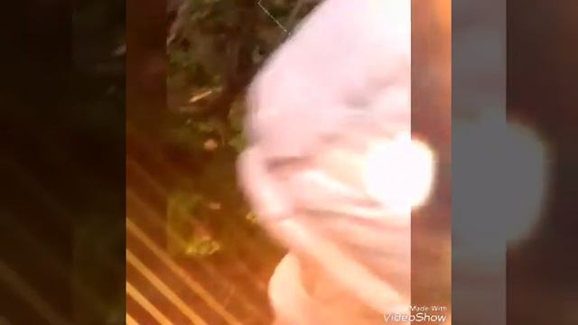 Богдан и Ева. ГРИБНОЙ ЧЕЛЛЕНДЖ.