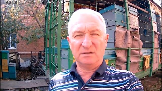 Собрать гнездо пчел на зимовку.Почему к осени слабеют семьи пчел?