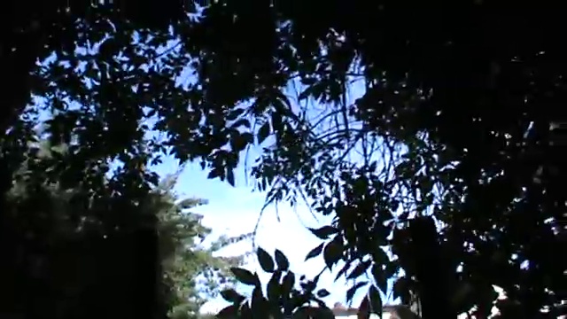 Я СНИМАЮ СВОЮ РОДНУЮ ШКОЛУ НА ВИДЕО