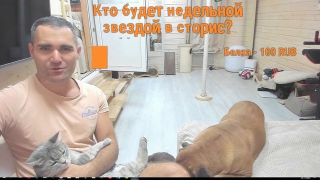 Наши любимые хвостики.