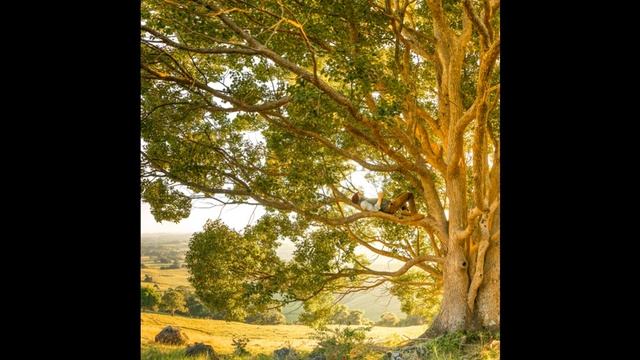 Beautiful relax music for sleep. (Классная музыка для сна, спа, массажа и отдыха). 2021