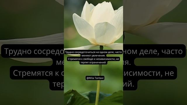 Знак зодиака БЛИЗНЕЦЫ ♊️?Есть сомнения ?