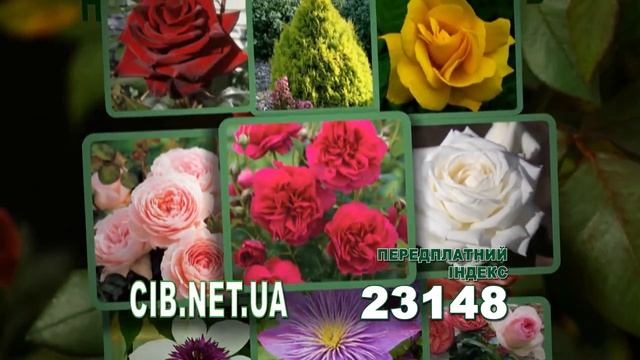 Сельский Вестник Украина - Каталог троянд, багаторічних ліан для саду