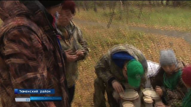 Слет школьных лесничеств стартовал в Тюмени