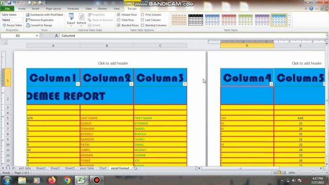 13 0 Excel Data Formatting