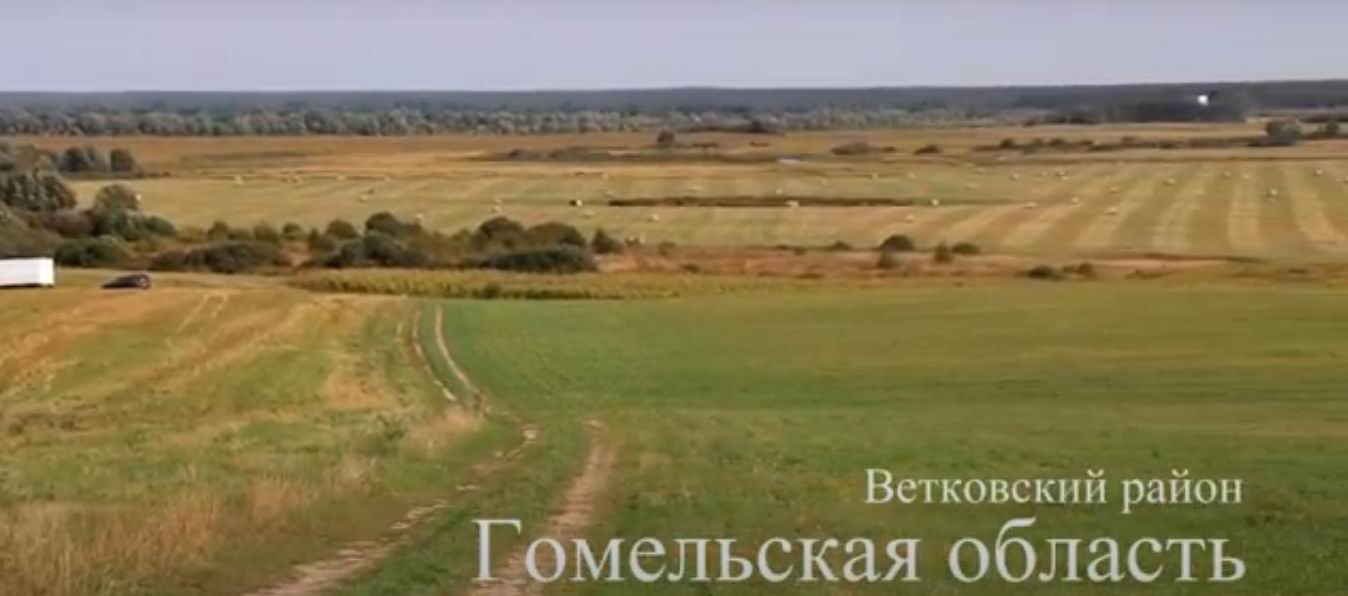 Наше поле