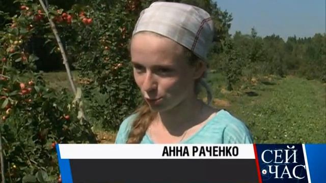 Яблоневый сад