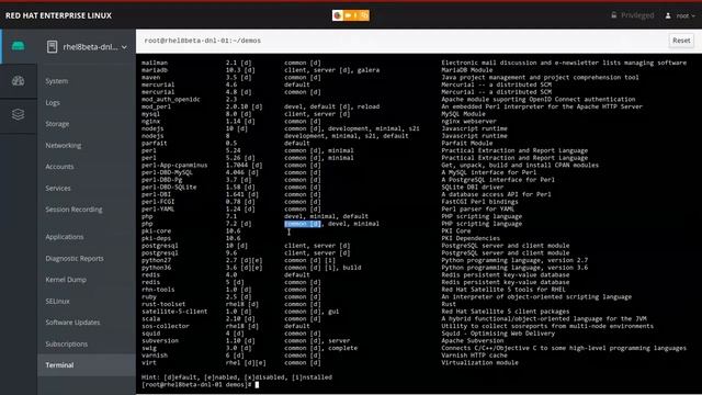 Develop and deploy faster with Red Hat Enterprise Linux   DevNation Tech Talk