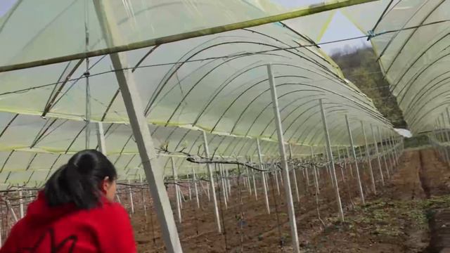 6包泡面配肥肠，胖妹做火锅肥肠面，老公先啃两口，又香又辣吃的直冒汗！【陈说美食】