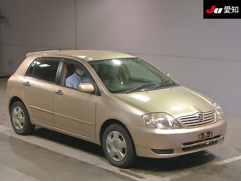 В разбор Toyota Allex NZE124 1NZ-FE 2001 г.в. (донор 1117)