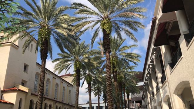 The Wonders of DOWNTOWN WEST PALM BEACH, FL