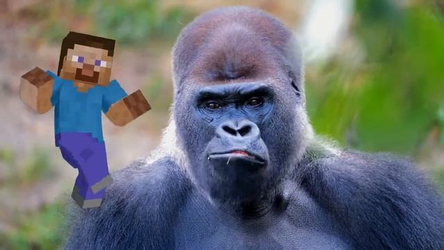 Танец Стива из Майнкрафт - Stive dancing Minecraft