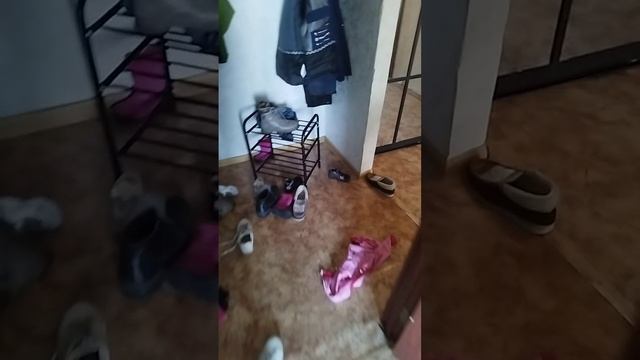 Мамай прошёл