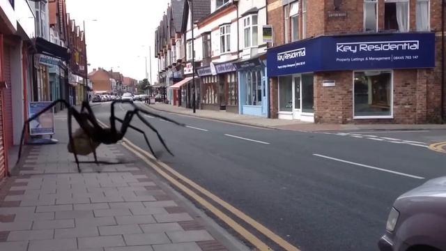 Giant spider attacks lol