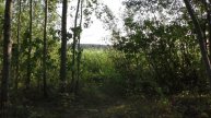 Беларусь Минск Район Цнянского Водохранилища 2021 Сентябрь (Серия№3) Камера Panasonic HC-V770
