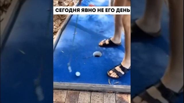 Юмор из сети