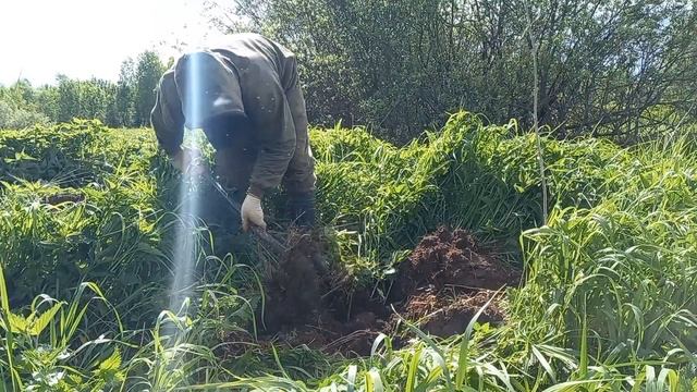 ПРЯТАЛ ВЕСЬ МЕТАЛЛ ПО УГЛАМ. ФЕРМА СНОВА КОРМИТ.