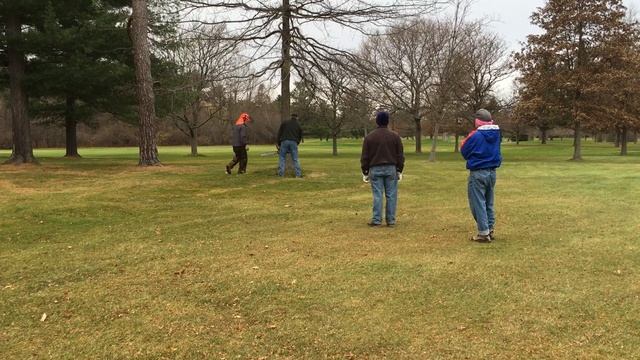 BLCC Tree Felling 3
