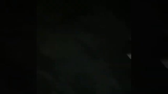 Шок видео. Корги напал на лабрадора.