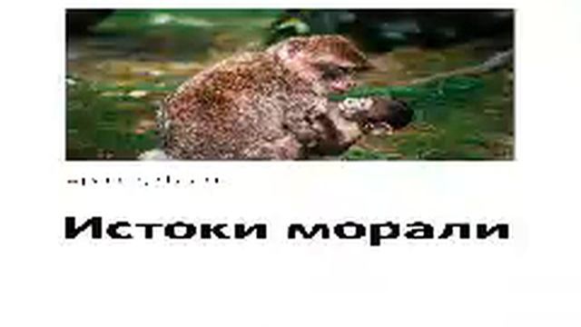 Франс де Вааль   Smart Reading   00   Истоки морали