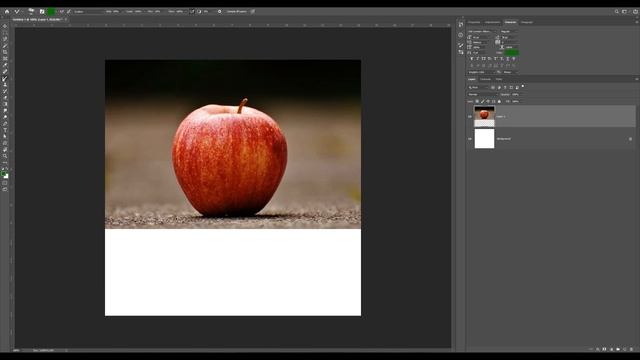 Photoshop Course - Brush, Pencil, Color Replacement & Mixer Brush - 4