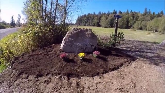 Посадила цветы около камня    5 октября