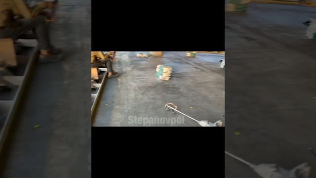 Заливка спортзала на 40-м этаже