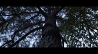 Canon EOS 80D Video Test