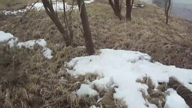 Поверхностный КОП по берегу Сибири.