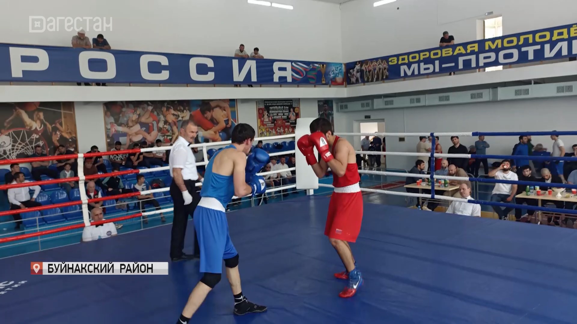 В Дагестане завершилось первенство республики по боксу