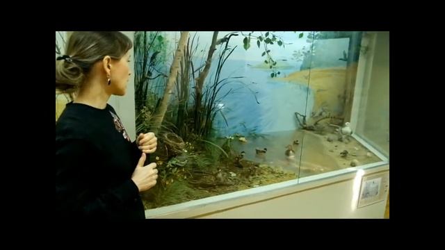 Онлайн-экскурсия "Остров спасения" (Дарвинский заповедник)