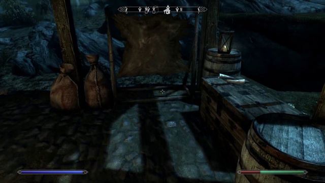 The Elder Scrolls V  Skyrim Special Edition Идём в Вайтран, но это не точно. #27