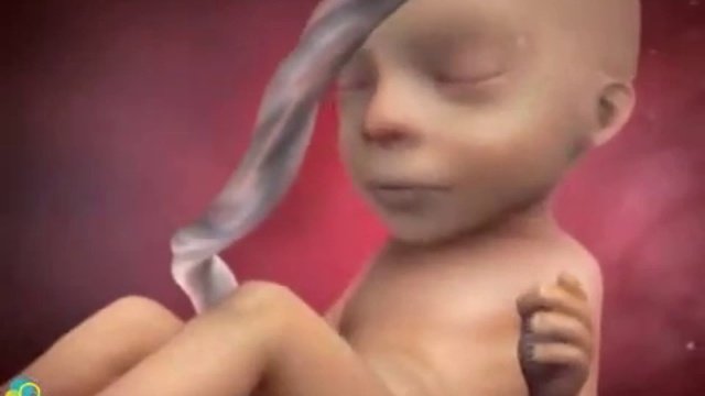Взгляд на беременность изнутри  21-27 неделя