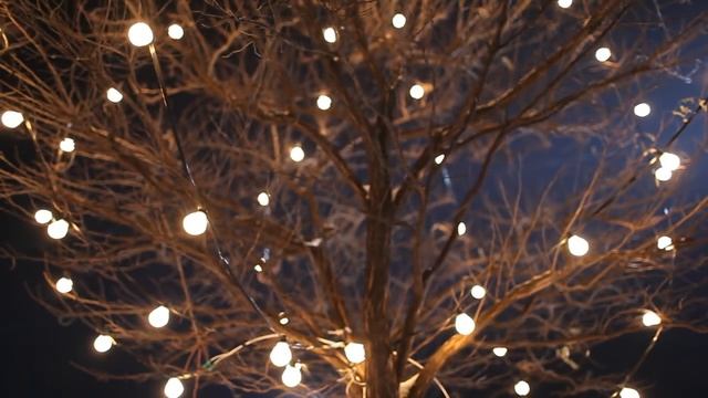 Canon EOS 5D Mark 2 Кишинев перед Рождеством