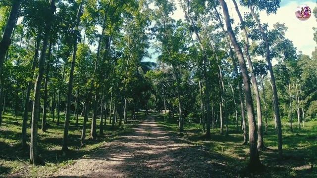 PUPOT BUKAL TANAY RZ. The Best Way To Go There.