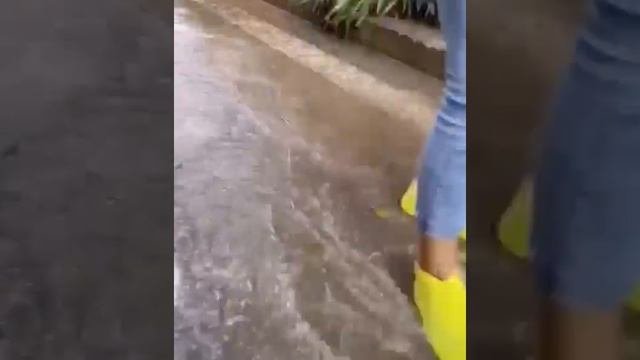 Очень удобная вещь для кроссовок, особенно белых)