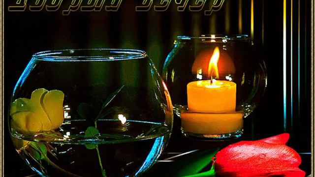 🌹Доброго, волшебного, красивого вечера! #добрый вечер