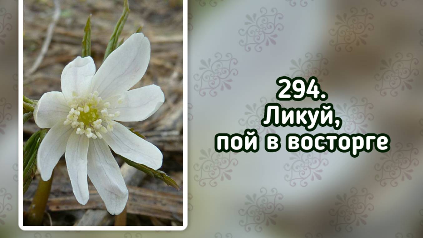 Гимны надежды 294 Ликуй, пой в восторге (-)