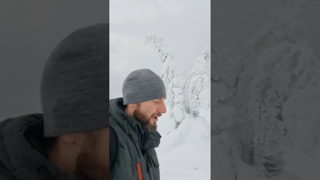 Где север,  а где юг