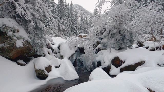 Slow living music | Calm piano music with beautiful winter And soothing music for relaxation