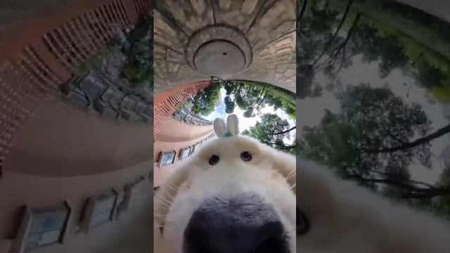 1000005122.mp4