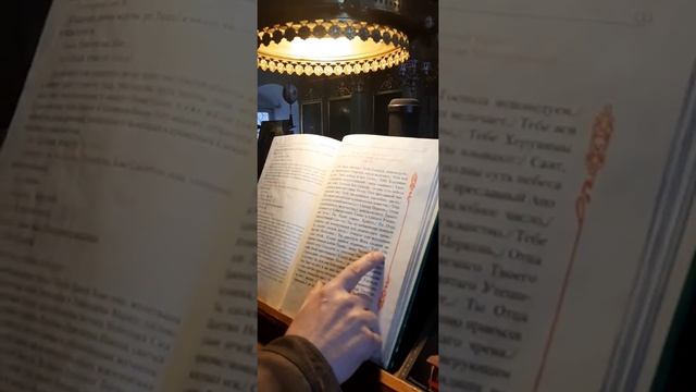 Тебе Бога Хвалим. Гимн. Неделя Торжества Православия