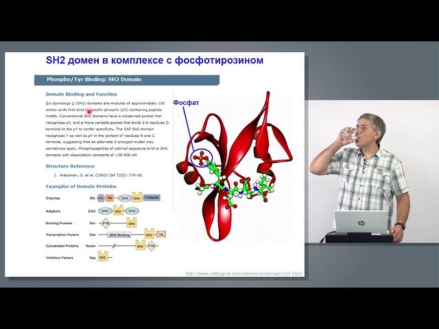 Купраш Д.В.  7 лекция из цикла