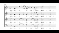 Tenor Demo - Laudate Domimum - Mozart