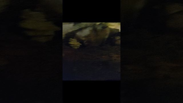ФОРОС. СКЕЛЬТСКАЯ ПЕЩЕРА. ПУТЕШЕСТВИЕ. СЕНВАСТОПОЛЬ. ОТДЫХ. ЭКСТРИМ.