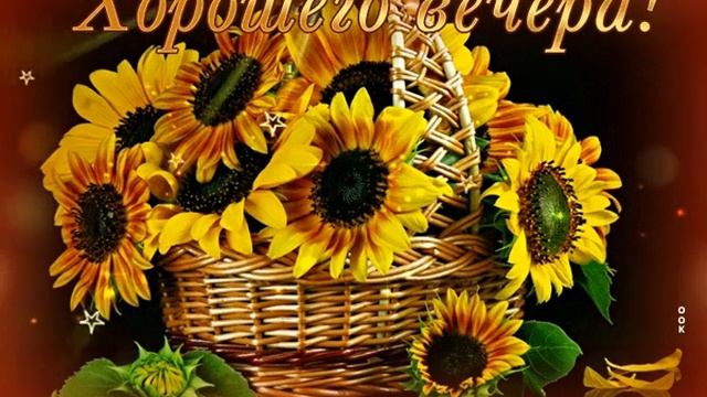 Спокойной ночи ? Приятных снов ???