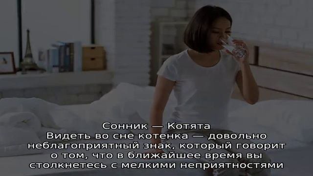 Новорожденные котята с кошкой