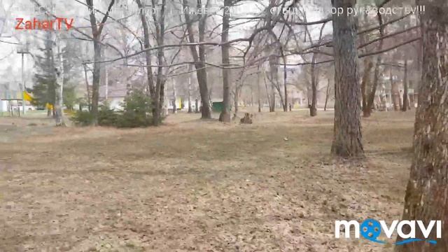 Жесть в Санаторий " Металлург " г. Ижевск ( часть 4 )